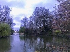 Early morning run in St. James' Park